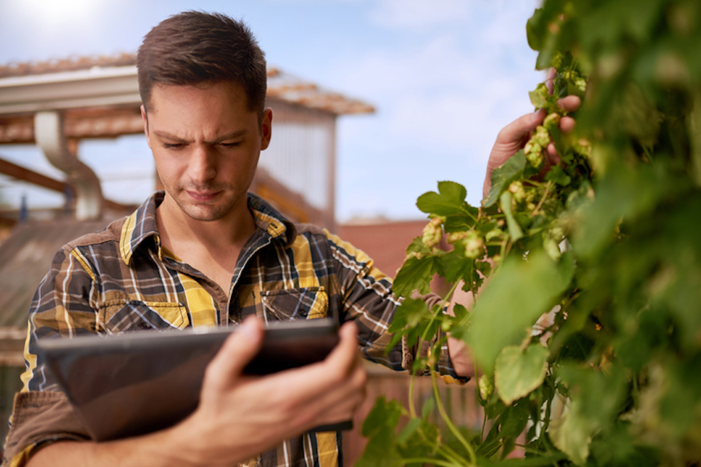 Como aumentar as vendas no agronegócio com o App Consultor